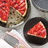 image:imageWilton Platinum NonStick Springform Pan Made Without PFAS 9 inStandard Pack of 8